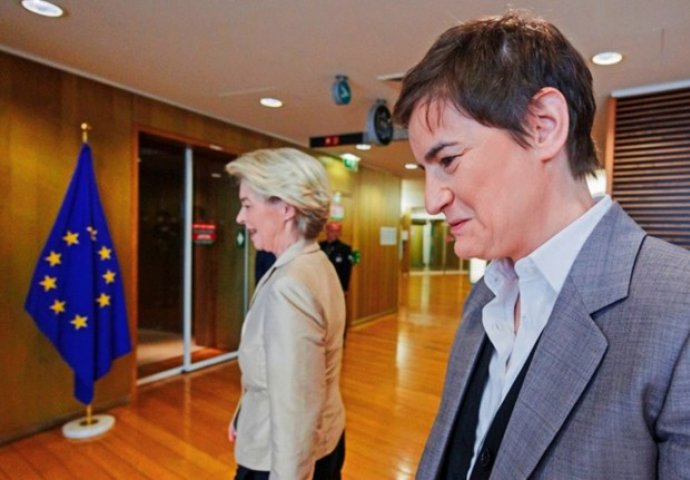 Brnabić: Srbija je pravi prijatelj Ukrajini