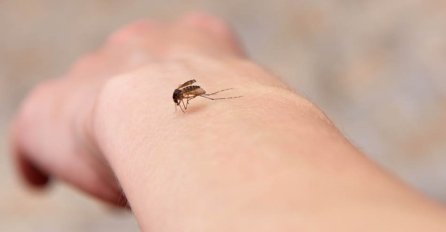 Ova odjeća najviše privlači komarce, bukvalno će se lijepiti za vas