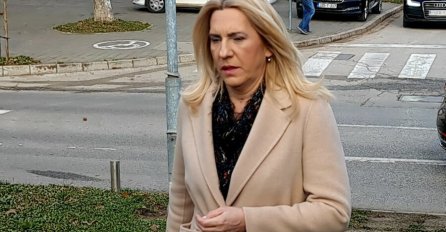 Cvijanović: Isak nema šta da određuje ili zabranjuje na teritoriji RS