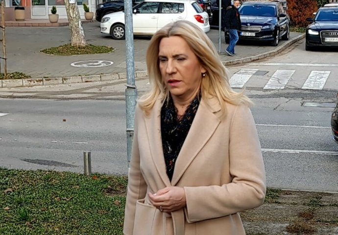 Cvijanović: Isak nema šta da određuje ili zabranjuje na teritoriji RS