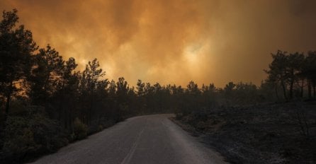 Požari u Grčkoj i dalje bjesne: Izgorilo najmanje 30% zaštićene šume (FOTO)