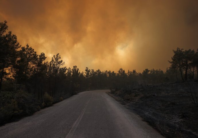 Požari u Grčkoj i dalje bjesne: Izgorilo najmanje 30% zaštićene šume (FOTO)