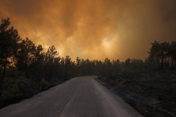 Požari u Grčkoj i dalje bjesne: Izgorilo najmanje 30% zaštićene šume (FOTO)