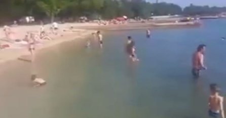 CIJELA PLAŽA U NEVJERICI GLEDALA OVA DVA TIPA: Plakat ćete od smijeha kada vidite njihovu "igru" (VIDEO)