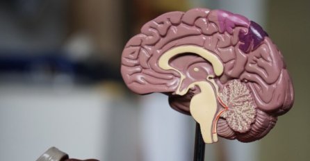 AKO NE MOŽETE UČINITI OVIH 5 STVARI - MOŽDA IMATE ALZHEIMEROVU BOLEST: Mnogi ignorišu ovaj znak