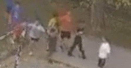 PAS IZUJEDAO DJEČAKA (11) NA KARABURMI: Snimljen horor u dvorištu škole, a ono što su VLASNICE POTOM URADILE razbjesnilo sve (VIDEO)