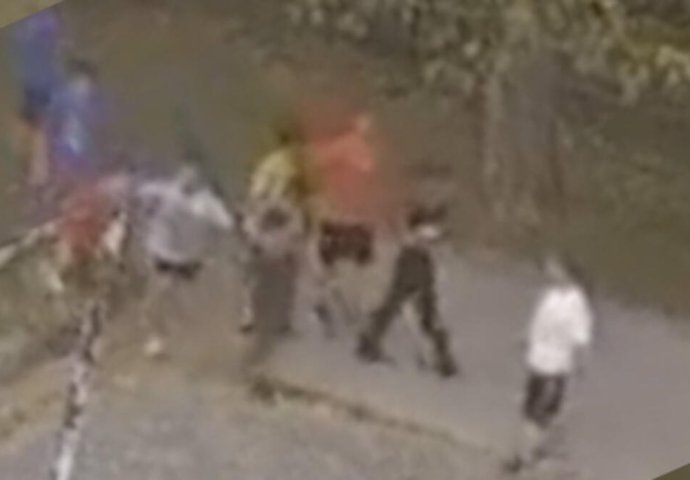 PAS IZUJEDAO DJEČAKA (11) NA KARABURMI: Snimljen horor u dvorištu škole, a ono što su VLASNICE POTOM URADILE razbjesnilo sve (VIDEO)