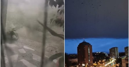 NOVI JEZIVI SNIMCI NEVREMENA U SRBIJI: Ljudi u šoku zbog prizora u Novom Sadu, POGLEDAJTE PTICE (VIDEO)