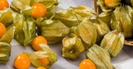 ZLATNO BLAGO PRIRODE: Poseban prirodni lijek za prostatu, najteže oblike bolesti želuca i debelog crijeva