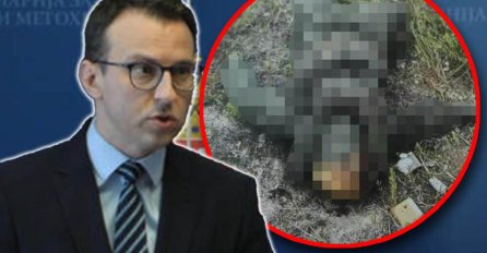 UZNEMIRUJUĆE, PETKOVIĆ IZNIO DOKAZE O BANJSKOJ: Slika ubijenog Bojana svjedoči o egzekuciji licem u lice! TVRDI DA JE NA DJELU KURTIJEV PROGON