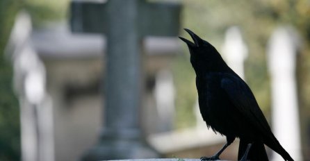 7 SIGNALA KOJE PREMINULE OSOBE ŠALJU: Poznati medijum tvrdi da je ovo ZNAK da su tu i da žele nešto da nam poruče