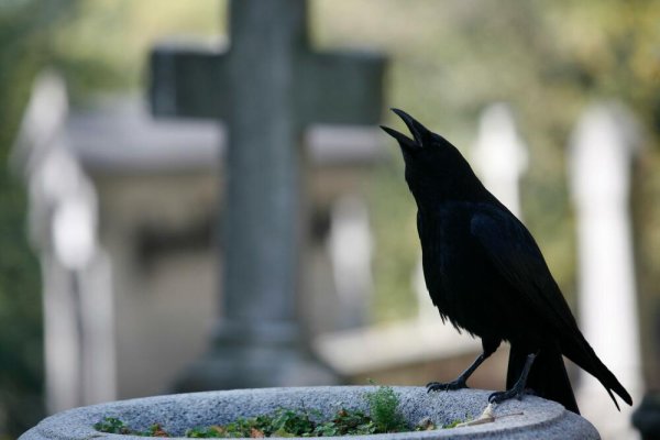 7 SIGNALA KOJE PREMINULE OSOBE ŠALJU: Poznati medijum tvrdi da je ovo ZNAK da su tu i da žele nešto da nam poruče