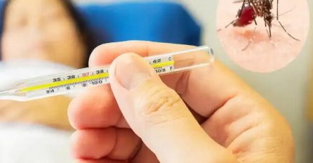 BROJ OBOLJELIH OD DENGA GROZNICE DOSTIŽE REKORDE: Obratite pažnju na SIMPTOME, ako se ne liječi na vrijeme, može biti FATALNA