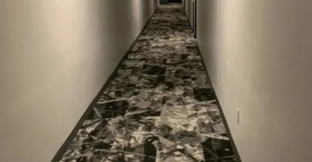 IMATE VISOK IQ AKO NA FOTOGRAFIJI UOČITE MAČKU: Da li ste je uočili?