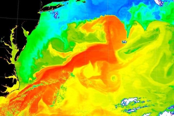 NAUČNICI: Golfska struja definitivno slabi, posljedice će biti globalne
