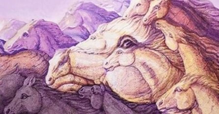 TEST LIČNOSTI - KOLIKO KONJA VIDITE NA SLICI: Da li ste totalni perfekcionista ili previše opušteni i samouvjereni?