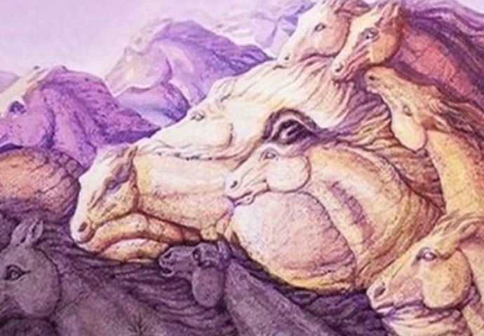 TEST LIČNOSTI - KOLIKO KONJA VIDITE NA SLICI: Da li ste totalni perfekcionista ili previše opušteni i samouvjereni?