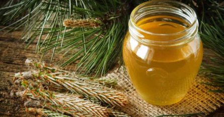 DOMAĆI MED OD BOROVIH IGLICA: Ublažava kašalj, a pravi se od 3 sastojka (RECEPT)