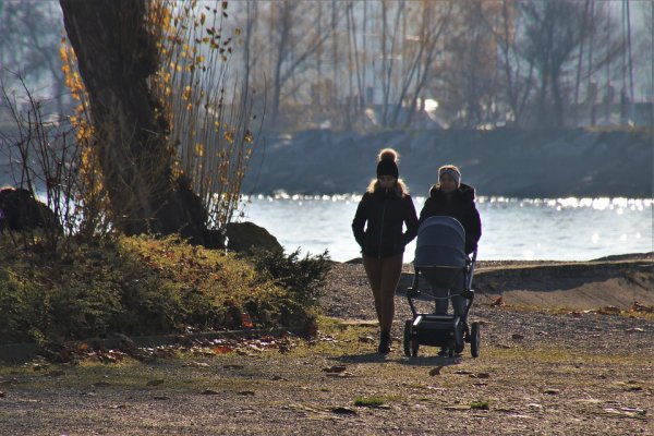 Dani postaju kraći, a to znači rizik od nedostatka vitamina D: Evo šta trebamo jesti