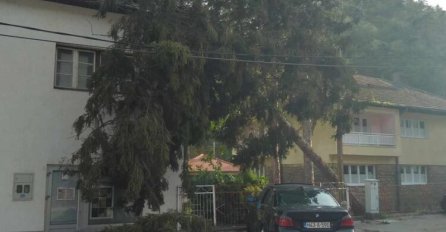 SNAŽNO NEVRIJEME POGODILO VIŠE GRADOVA U BIH: Letjeli krovovi i padala stabla, POGLEDAJTE SLIKE