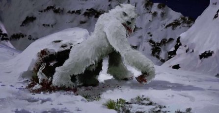 Stigli su rezultati DNK analize dlake s Himalaja za koju su tvrdili da pripada Jetiju: Ovo niko nije očekivao