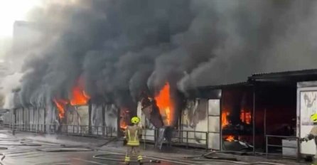 TEROVIĆ IZNIO NOVE DETALJE O POŽARU NA OTOCI: Sve je pod čudnim okolnostima, određena fizička lica došla su do vlasništva ove lokacije