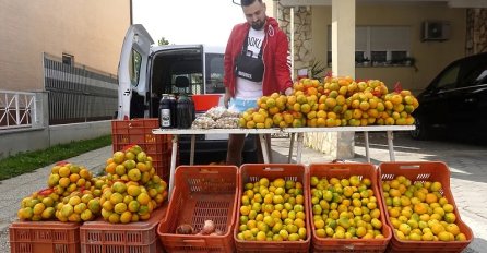 U mandarinama iz Hrvatske otkriven zabranjeni pesticid, posebno opasan za djecu