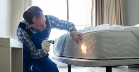 Dešava se “prava invazija stjenica u Sarajevu”: Osim najezde u stanovima, probleme imaju i tek otvoreni hoteli