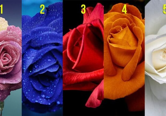Izaberite ružu koja vam se najviše dopada: TEST OTKRIVA ONO ŠTO KRIJETE OD DRUGIH, nama je pogodilo