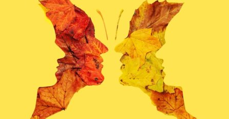 TEST LIČNOSTI! JESTE LI PRVO PRIMIJETILI LEPTIRA ILI LICE? Otkrijte koja je vaša tajna osobina