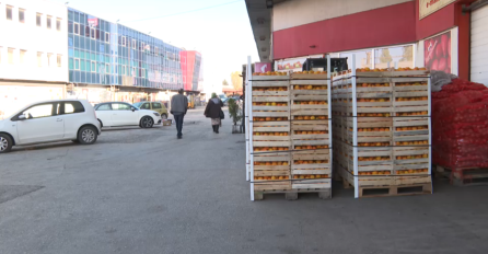 Federalna inspekcija: Zabrana uvoza mandarina iz Hrvatske