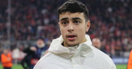 "IZDAO SI NAS ZA ŠVABE, KRENI KAO LAZAR" Srbin se POHVALIO igranjem za Njemačku, pa se našao na meti BRUTALNIH UDARA!