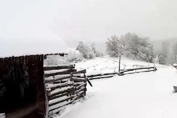 SNIJEG IZAZVAO HAOS ŠIROM SRBIJE: Nestalo struje na odmaralištu gdje borave i učenici iz BiH