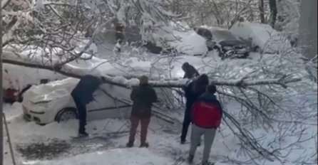 Snijeg napravio haos u Srbiji: Vanredna situacija u 30 općina