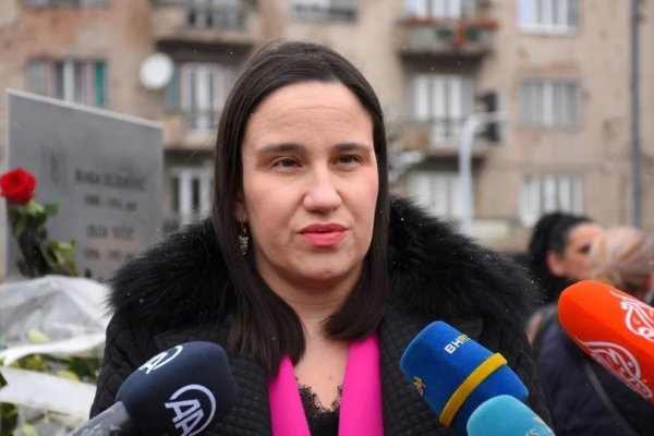 Karić zatražila reakciju ministra Konakovića: Nedopustivo ponašanje državljanina Izraela Kabirija