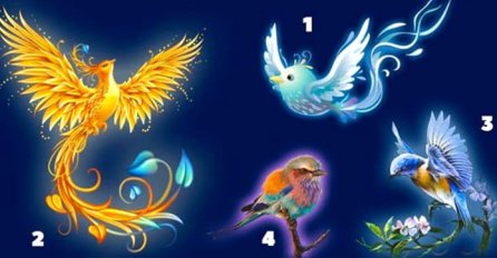 ODABRITE JEDNU MAGIČNU PTICU: Sada pročitajte šta vas ČEKA U BUDUĆNOSTI