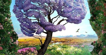 NEPOGREŠIVI TEST LIČNOSTI: Ono što prvo vidite na slici otkriva nešto što se skriva duboko u vašoj duši