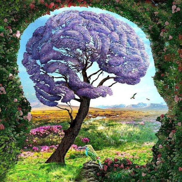 7a6f188d-resize-781x0x100