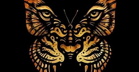 TEST LIČNOSTI - KOJU ŽIVOTINJU STE PRVO VIDJELI NA SLICI: Otkriva koja je vaša najveća snaga i kako je koristite u životu