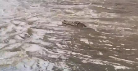 HAOS: U zračnoj luci potopljeni avioni, ljudi bježali u čamcima, ‘Ovo ne pamtim!‘