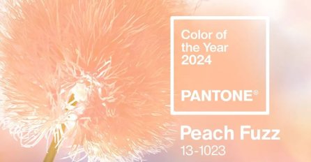 Ova nijansa je izabrana za boju 2024. godine: “Poziva na saradnju i ljubaznost”