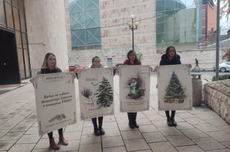 Mali protest ispred Parlamenta FBiH: “Bez zakona šume stradaju i polako nestaju”