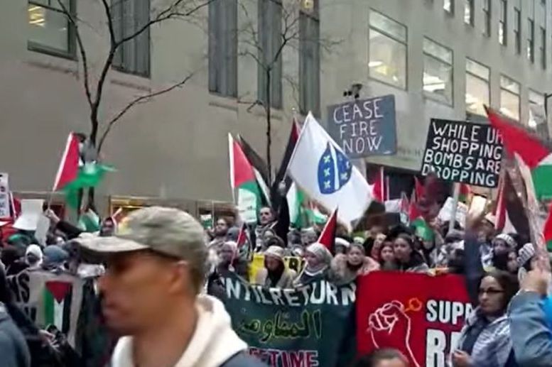 VIĐENA I ZASTAVA SA LJILJANIMA: Ljudi u New Yorku protestovali za mir u Gazi