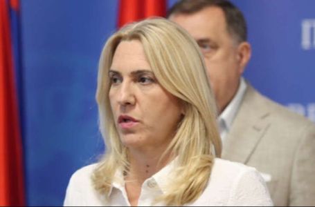 Ambasador Srbije potvrdio da je dostavio pismo Cvijanović i zaobišao Misiju BiH pri UN-u