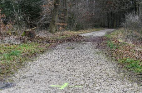 Ovdje je srpski dječak napao svoju djevojku, umrla u bolnici 1. januara: Istražuje se motiv ubistva