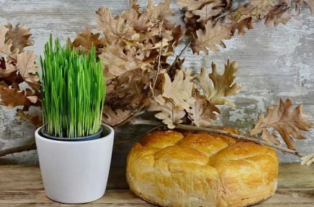 SUTRA JE BADNJI DAN: Svi koji pojedu ovu biljku, imaće vjeruje se PUNO NOVCA