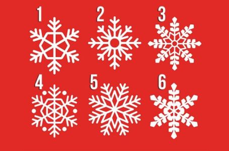 Izaberite jednu pahuljicu sa ove slike: OTKRIJTE KAKVU PORUKU VAM PODSVIJET ŠALJE