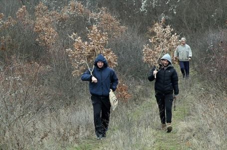 EVO ŠTA TREBATE URADITI SA BADNJAKOM POSLIJE BOŽIĆA: Da se ne ogriješite, OBAVEZNO uradite OVO