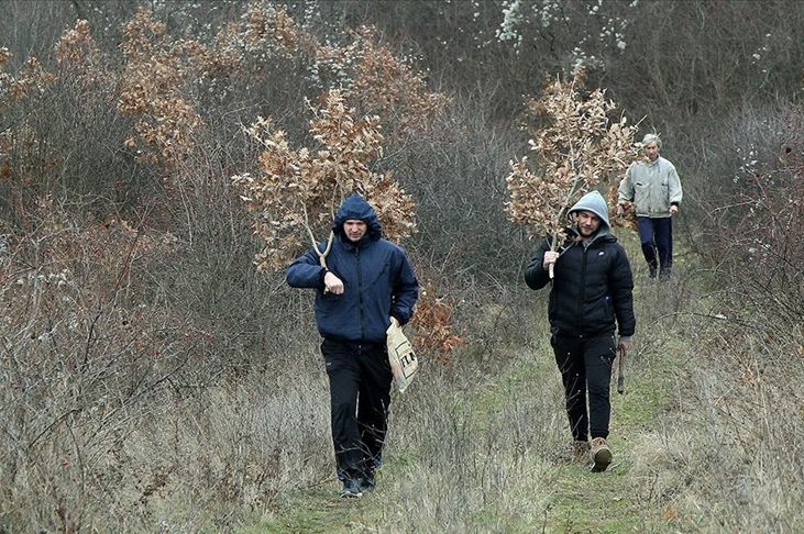 EVO ŠTA TREBATE URADITI SA BADNJAKOM POSLIJE BOŽIĆA: Da se ne ogriješite, OBAVEZNO uradite OVO