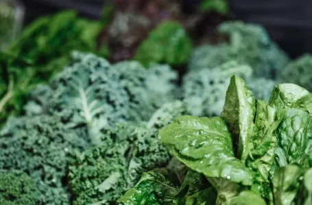 OBILJE VITAMINA: Kelj je najzdraviji ako ga spremite na ovaj način